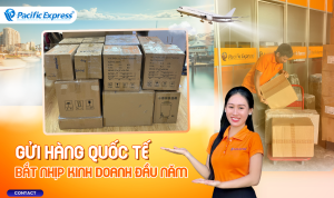 Pacific Express - Gửi hàng kinh doanh sau Tết